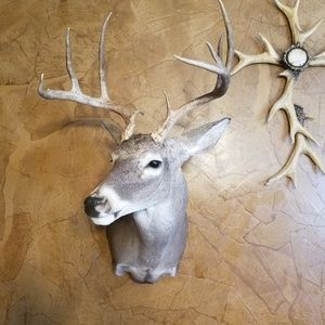 Meet your Posher, Kenneth